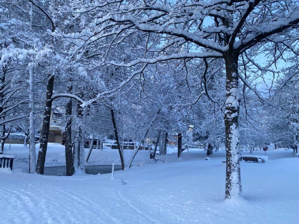 Halbstueck - Ferienwohnungen Am Kropsbachpark Санкт-Мартін Екстер'єр фото